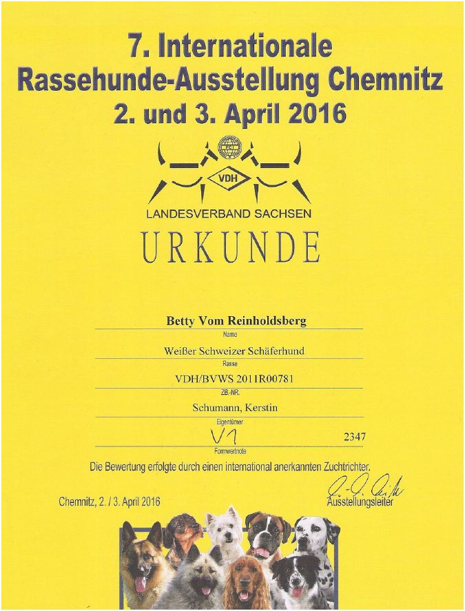 7. Internationale Rassehundeausstellung Chemnitz 2016