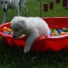 6. Woche