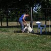 Hundeplatz