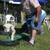 Hundeplatz