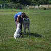 Hundeplatz