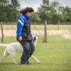 Hundesport