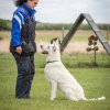 Hundesport