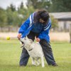 Hundesport