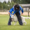 Hundesport