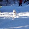 SchneeWorkshop