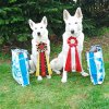 rally-obedience